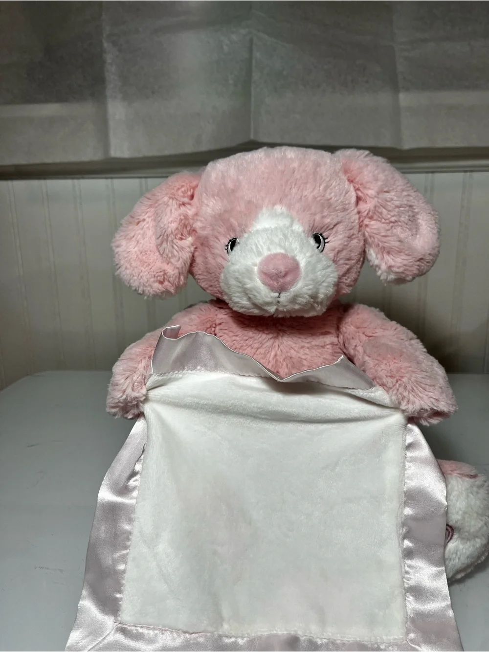 Pink Plush Puppy Lovey with Satin Trim Peek-A-Boo Stuffed Animal